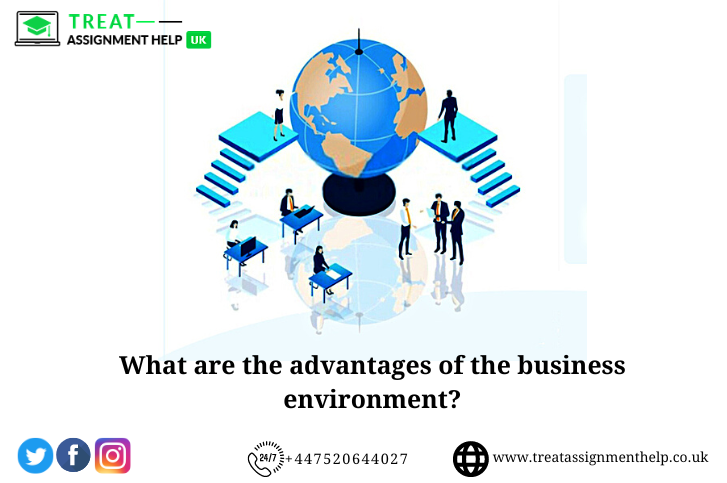 What are the different types of business environments?